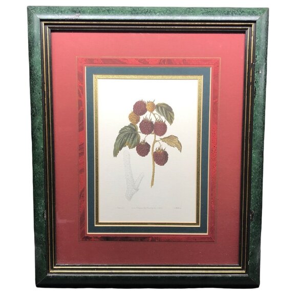 The Barnet Raspberry Framed Print with Burgundy and Green Matte Botanical Art